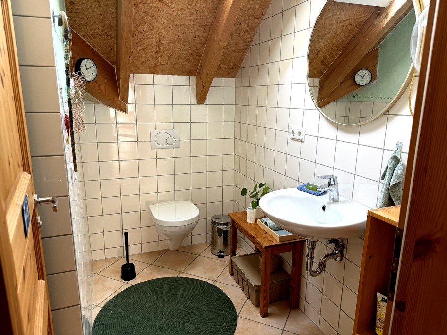 Duschbad Dachgeschosswohnung Dolgesheim